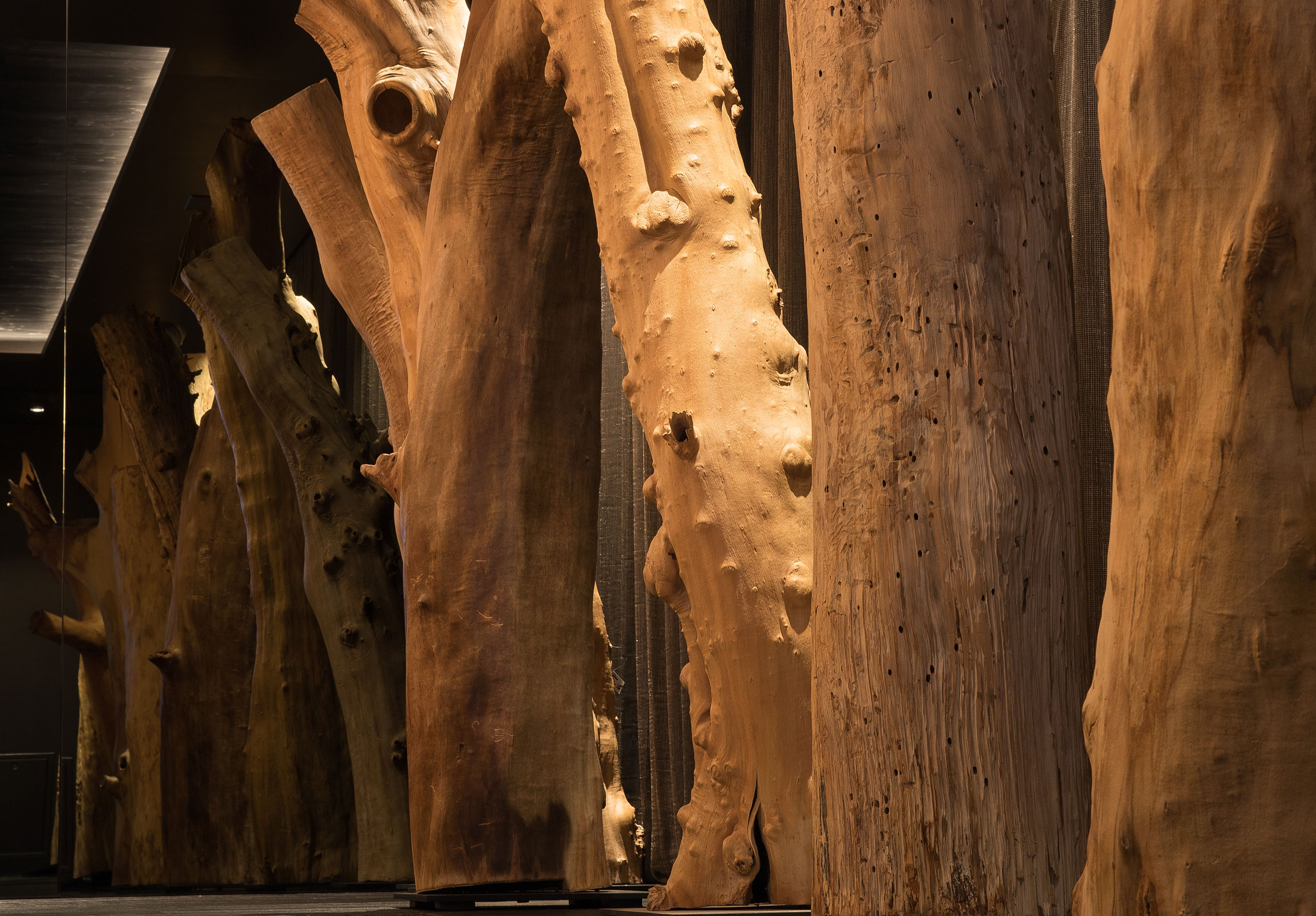 Kirchmayr in Pfarrwerfen, Österreich 2020