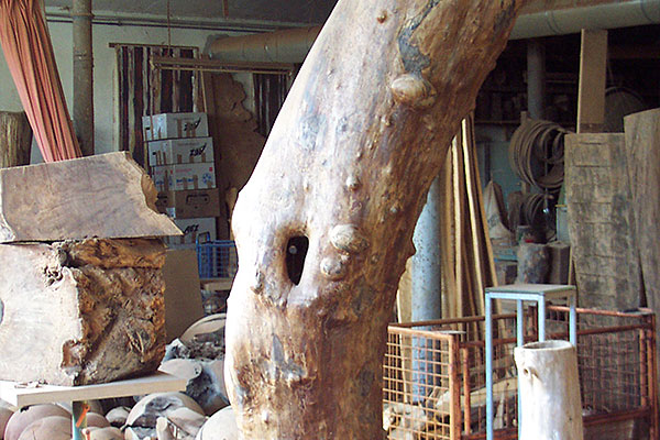 Hochmütiger Baum auf Sockel