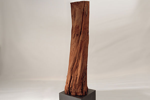 Stamm ausgehöhlt, an einen Knochen erinnernd