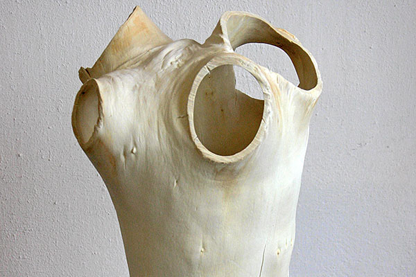 Teil eines Stammes II