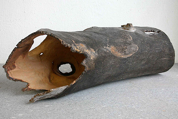 Teil eines Stammes III